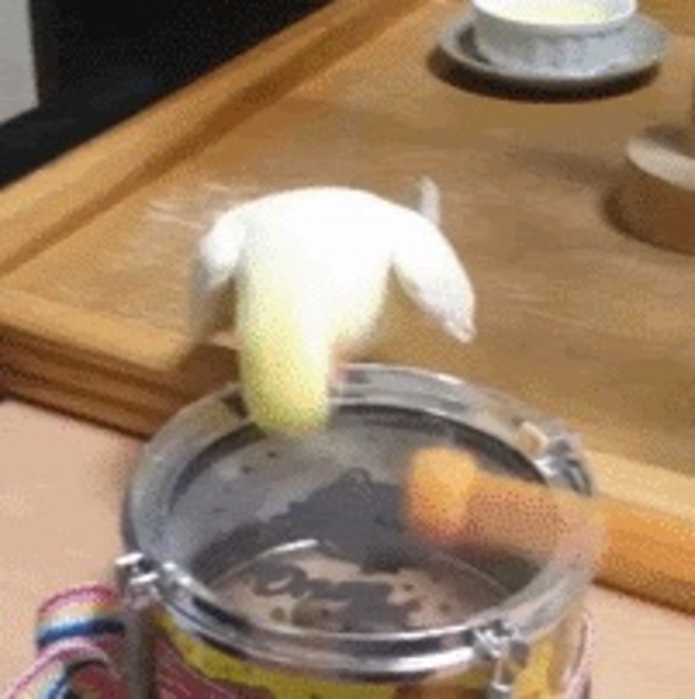 Meet your Posher, Emma